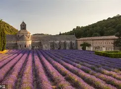 法国杯倒计时，毕尔巴鄂竞技今晨豪取连胜，细节引发关注，震撼外界，赛季目标并未改变